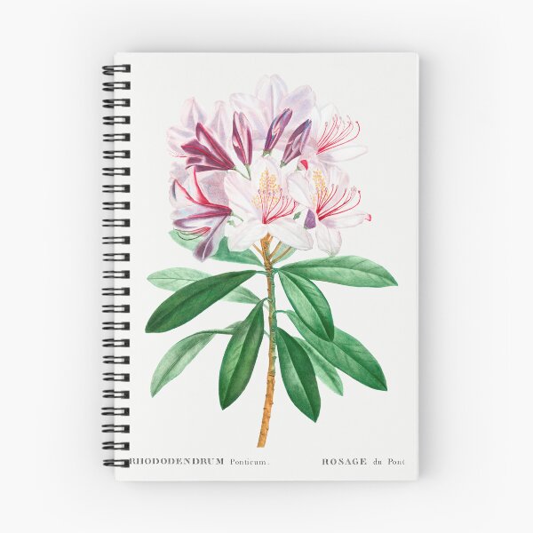 Item preview, Rhododendron Flowers Vintage Botanical Illustration designed and sold by TheRetroArtRoom.