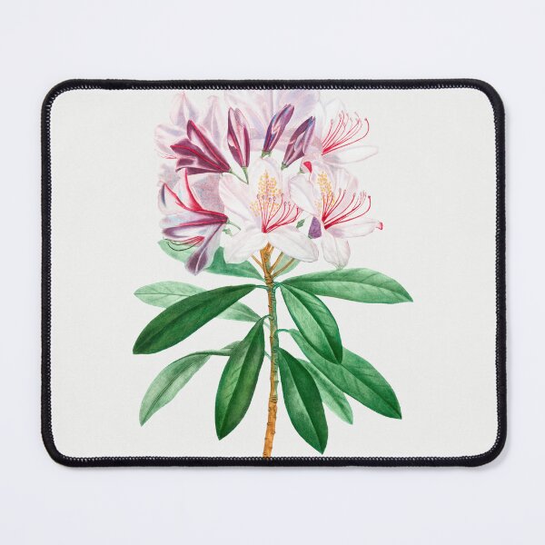 Item preview, Rhododendron Flowers Vintage Botanical Illustration designed and sold by TheRetroArtRoom.