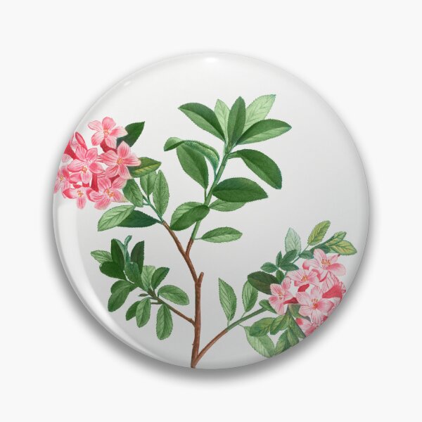 Item preview, Rhododendron Flowers Vintage Botanical Illustration designed and sold by TheRetroArtRoom.