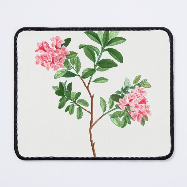Item preview, Rhododendron Flowers Vintage Botanical Illustration designed and sold by TheRetroArtRoom.