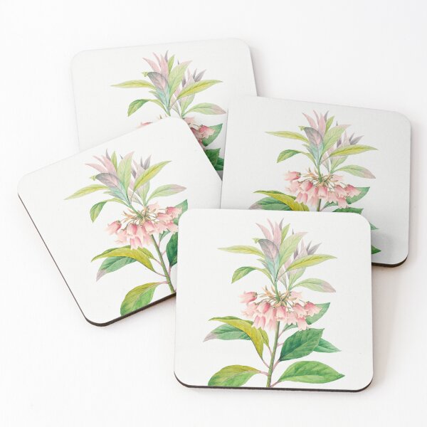 Item preview, Redvein Enkianthus Flowers Vintage Botanical Illustration designed and sold by TheRetroArtRoom.