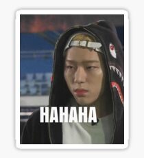 ZICO IS A MEME Sticker