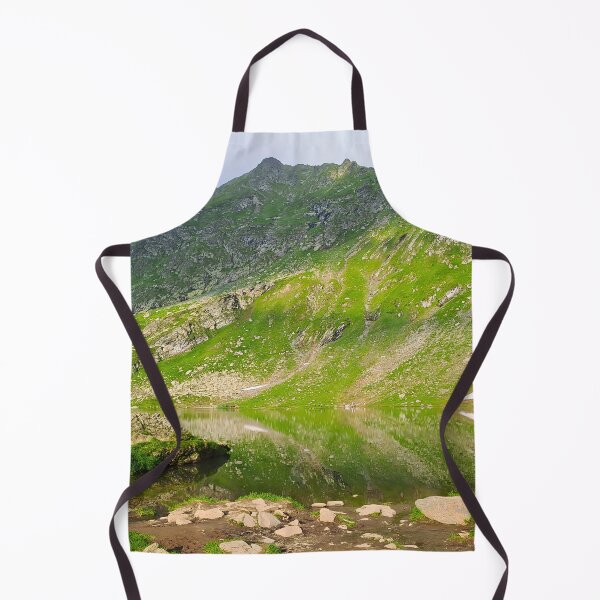 Item preview, Balea Lake Mountain Slope – Romania Alpine Print designed and sold by MSMPrintDesign.