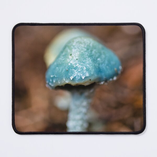 Item preview, Verdigris Agaric Mushroom on the Forest Floor designed and sold by Kasia Design.