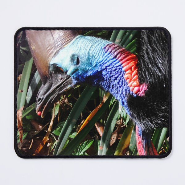 Item preview, A closeup of a Cassowary feeding designed and sold by Melville.Collective.