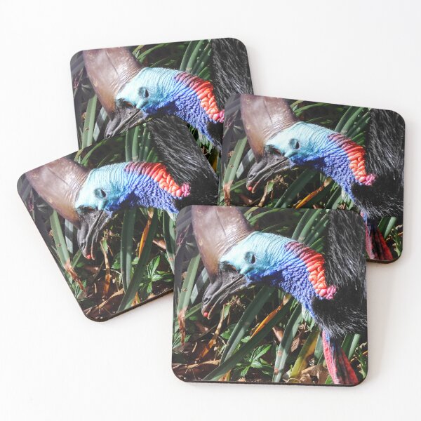 Item preview, A closeup of a Cassowary feeding designed and sold by Melville.Collective.