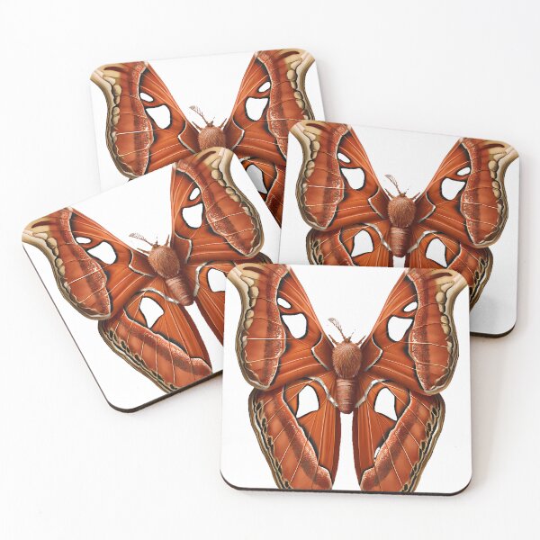 Item preview, Atlas Moth designed and sold by pumsquare.