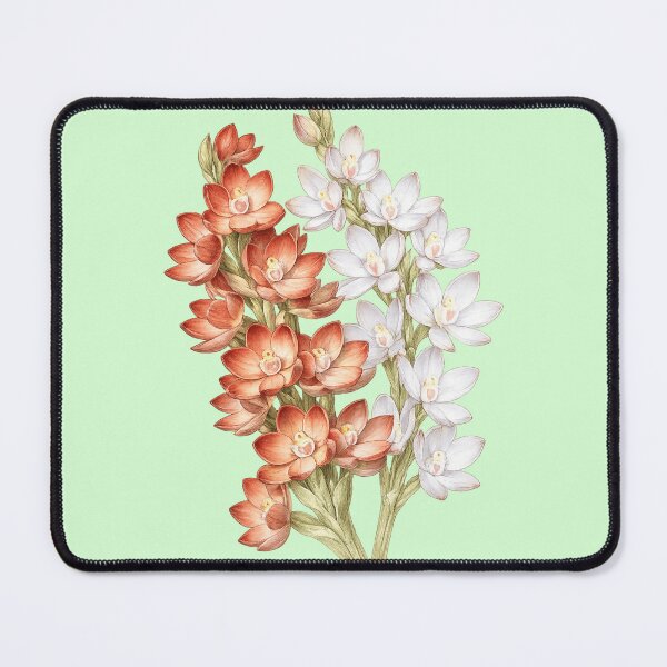 Item preview, Metallic Sun Orchid Thelymitra epipactoides designed and sold by BlueBandedBee94.