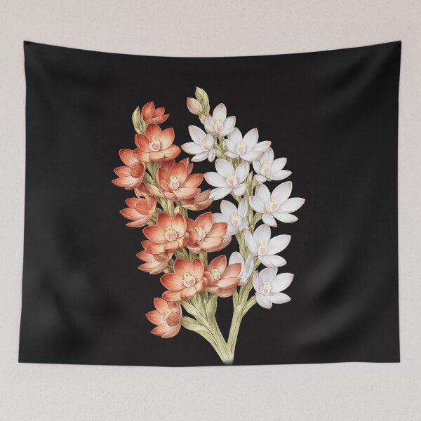 Item preview, Metallic Sun Orchid Thelymitra epipactoides designed and sold by BlueBandedBee94.