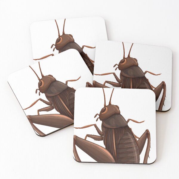 Item preview, Brown Cricket designed and sold by pumsquare.