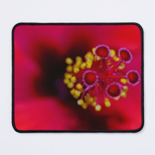 Item preview, Heart of a Hibiscus designed and sold by Kasia Design.