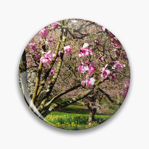 Item preview, Magnolia Tree Batsford Arboretum Moreton In Marsh designed and sold by AndyEvansPhotos.