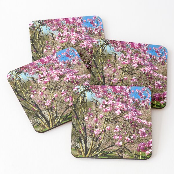 Item preview, Magnolia Tree Batsford Arboretum Moreton In Marsh designed and sold by AndyEvansPhotos.