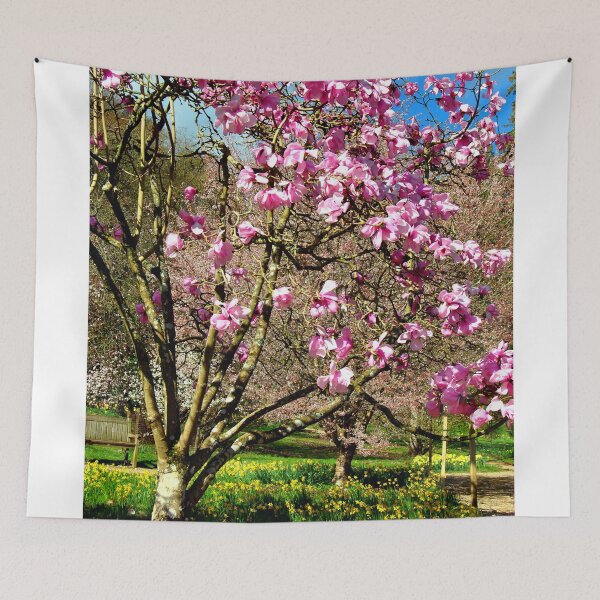 Item preview, Magnolia Tree Batsford Arboretum Moreton In Marsh designed and sold by AndyEvansPhotos.