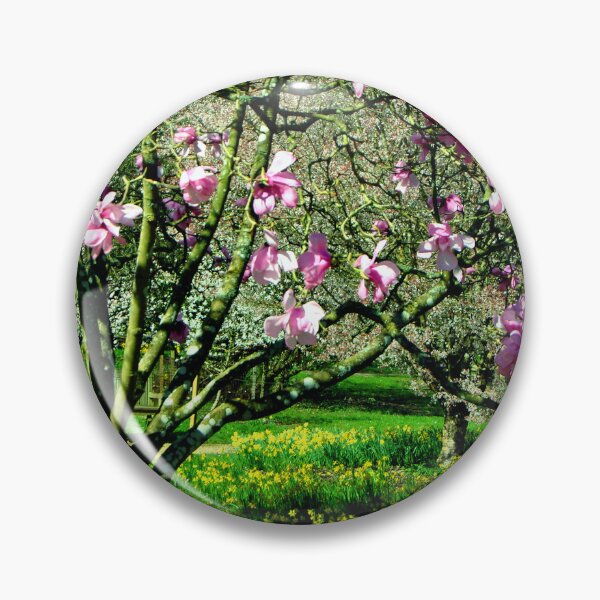 Item preview, Magnolia Tree Batsford Arboretum Moreton In Marsh designed and sold by AndyEvansPhotos.