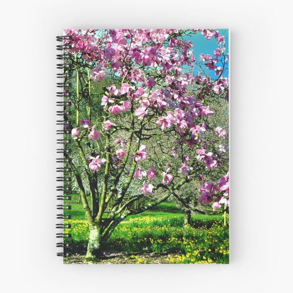 Item preview, Magnolia Tree Batsford Arboretum Moreton In Marsh designed and sold by AndyEvansPhotos.