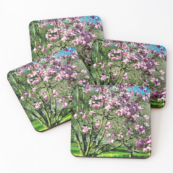 Item preview, Magnolia Tree Batsford Arboretum Moreton In Marsh designed and sold by AndyEvansPhotos.