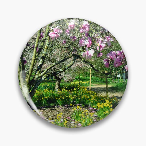 Item preview, Magnolia Tree Batsford Arboretum Moreton In Marsh designed and sold by AndyEvansPhotos.