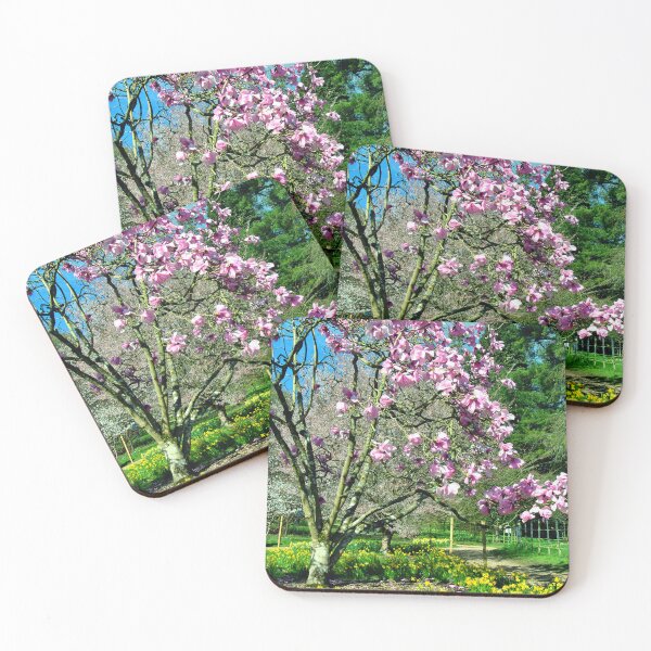 Item preview, Magnolia Tree Batsford Arboretum Moreton In Marsh designed and sold by AndyEvansPhotos.