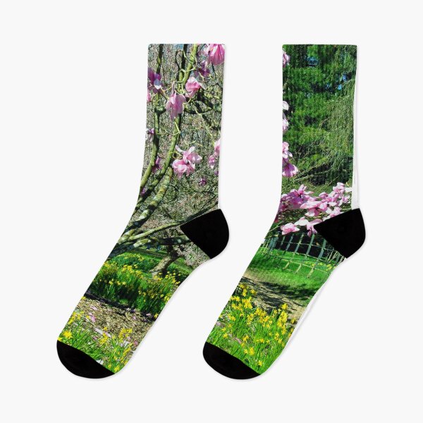 Item preview, Magnolia Tree Batsford Arboretum Moreton In Marsh designed and sold by AndyEvansPhotos.