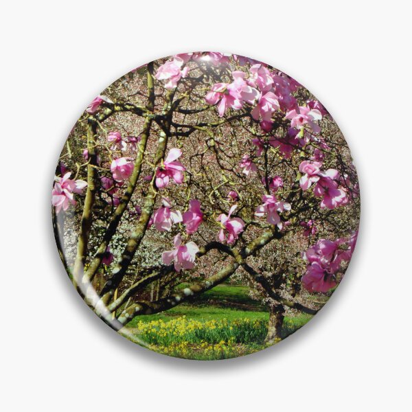 Item preview, Magnolia Tree Batsford Arboretum Moreton In Marsh designed and sold by AndyEvansPhotos.