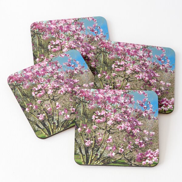 Item preview, Magnolia Tree Batsford Arboretum Moreton In Marsh designed and sold by AndyEvansPhotos.