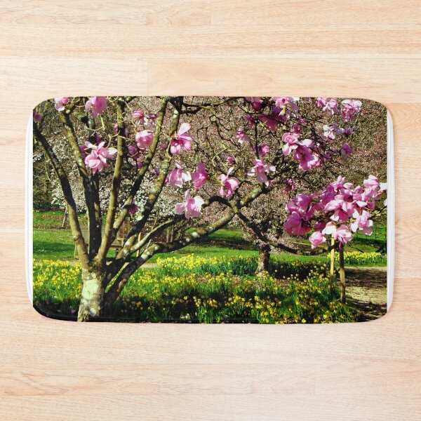 Item preview, Magnolia Tree Batsford Arboretum Moreton In Marsh designed and sold by AndyEvansPhotos.