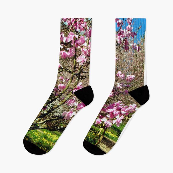Item preview, Magnolia Tree Batsford Arboretum Moreton In Marsh designed and sold by AndyEvansPhotos.
