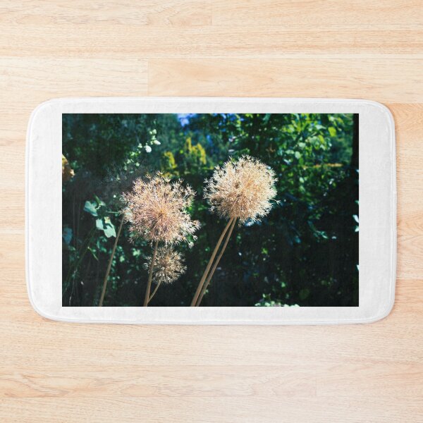 Item preview, Allium photograph designed and sold by Natimo-Studio.