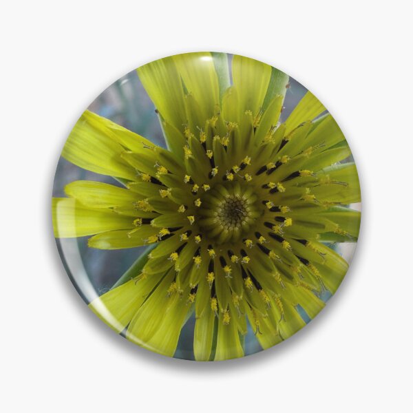 Item preview, Yellow Salsify designed and sold by Betsy Phillips.