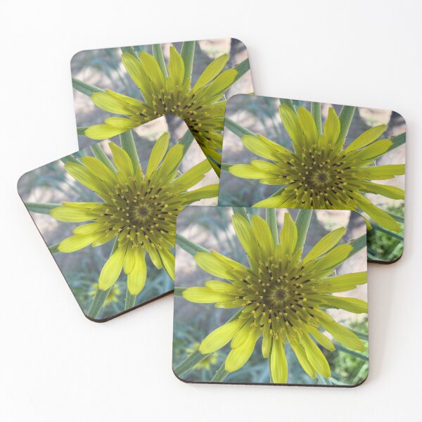 Item preview, Yellow Salsify designed and sold by Betsy Phillips.