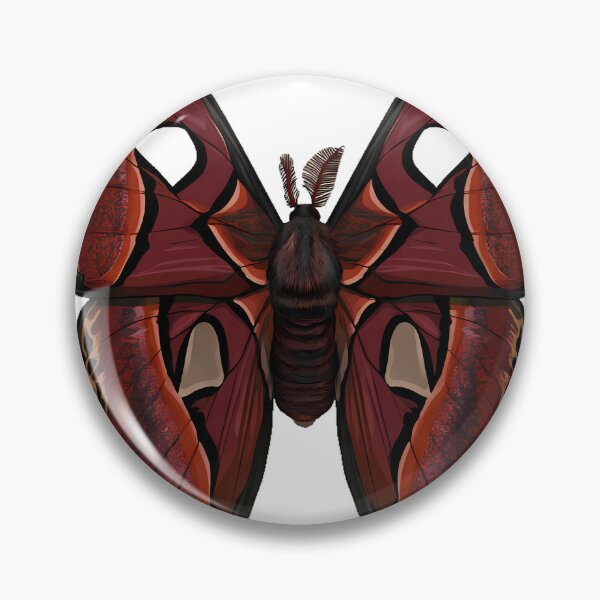 Item preview, Atlas Moth Gothica designed and sold by IllumeInk.