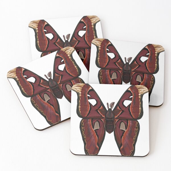 Item preview, Atlas Moth Gothica designed and sold by IllumeInk.