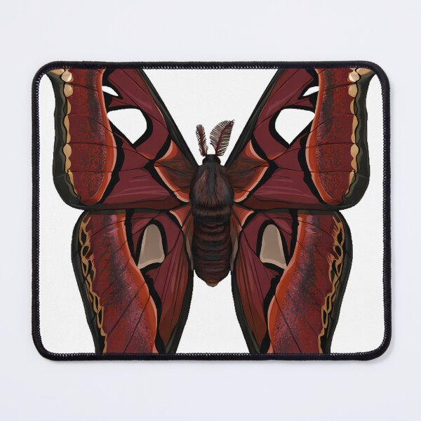 Item preview, Atlas Moth Gothica designed and sold by IllumeInk.