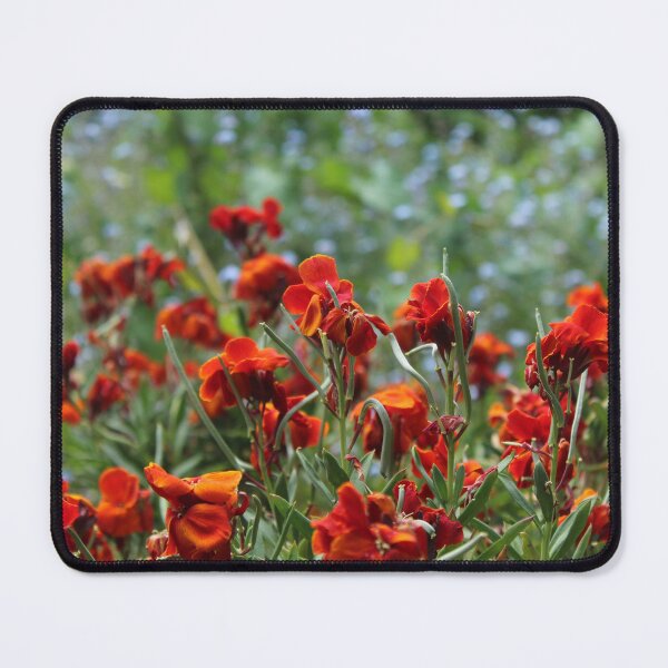 Item preview, Vibrant red wildflower field - Nature landscape photography designed and sold by Cha-s-lens.