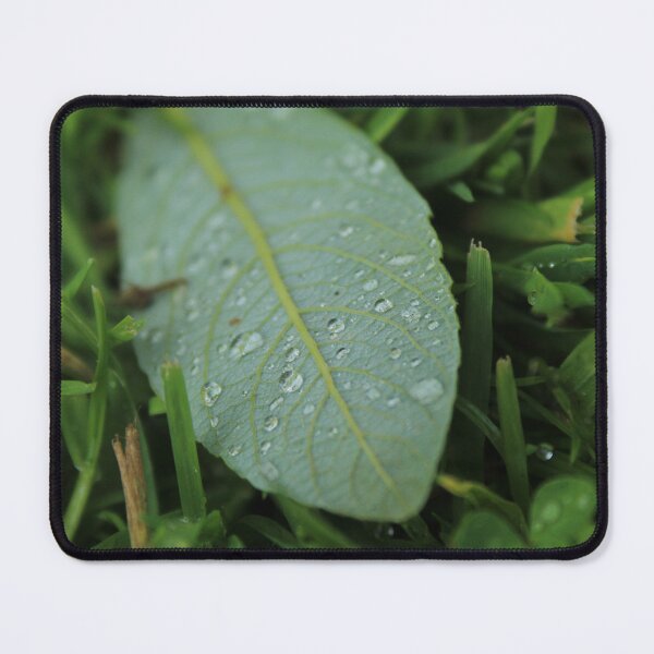 Item preview, Morning dew on a green leaf - Soft nature photography designed and sold by Cha-s-lens.