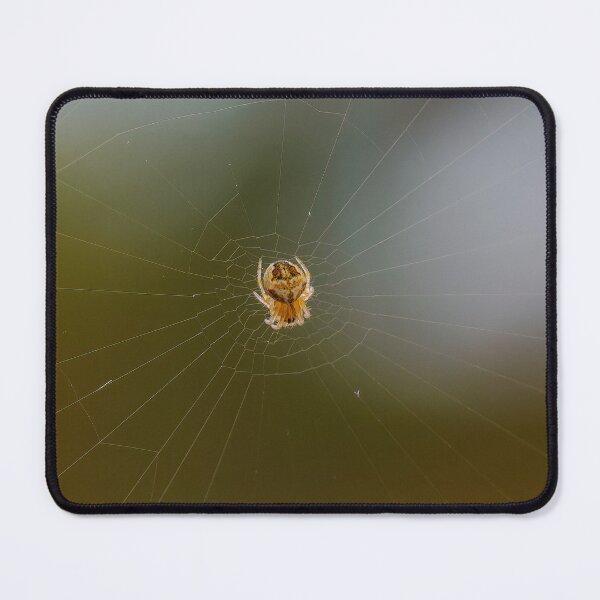 Item preview, Young Garden Spider designed and sold by Ralph Goldsmith.