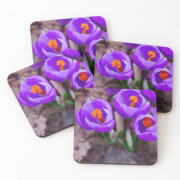 Item preview, Trio of Deep Purple Crocus Flowers designed and sold by ShotsbyDesiree.