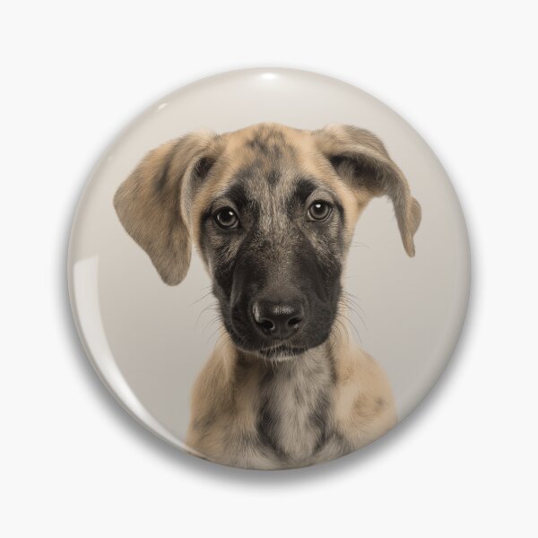 Item preview, Adorable Sloughi Pup for Cute Arabian Greyhound puppy lovers designed and sold by LazyOwlStore.
