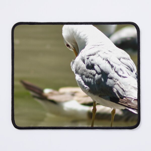 Item preview, Seagull Preening designed and sold by WilesNailsPower.