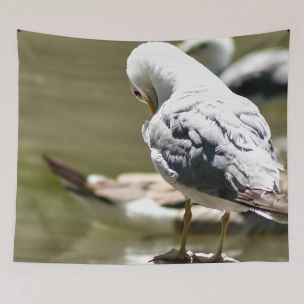 Item preview, Seagull Preening designed and sold by WilesNailsPower.