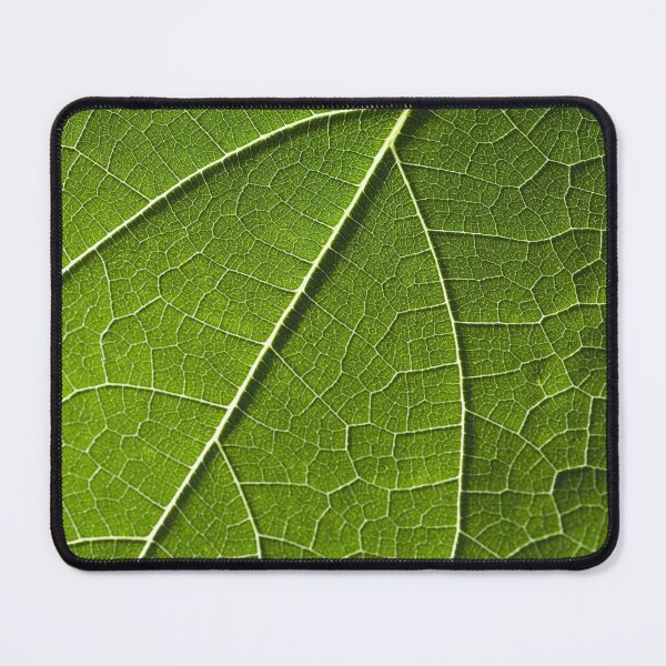 Item preview, Leaf Vein Network Abstract Nature Photography designed and sold by Amitphotos.