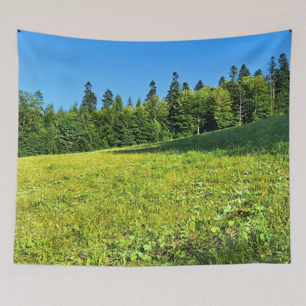 Item preview, Carpathian Green Meadow – Romania Mountain Print designed and sold by MSMPrintDesign.