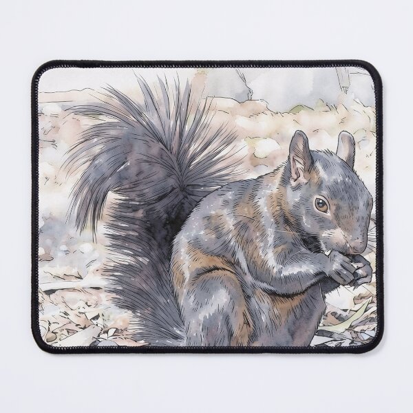 Item preview, Black Squirrel designed and sold by tomorrowsart.