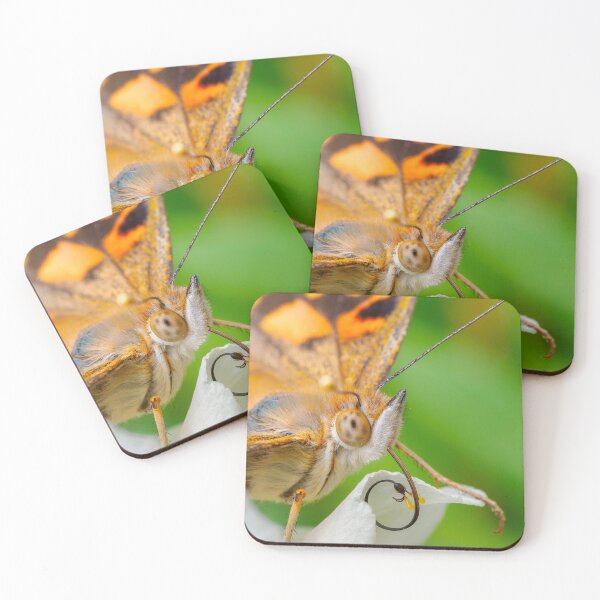 Item preview, Proboscis and Pollinia designed and sold by Ralph Goldsmith.