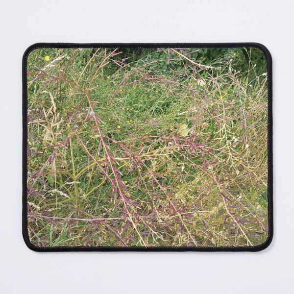 Item preview, Purple Wild Mustard Seed Pods designed and sold by PhuongVoArt.