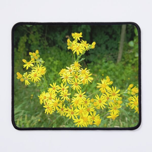 Item preview, Golden Wildflowers in Bloom designed and sold by PhuongVoArt.