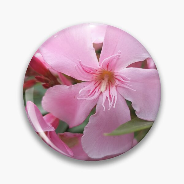 Item preview, Pink Oleander Blossom Bloom designed and sold by PhuongVoArt.
