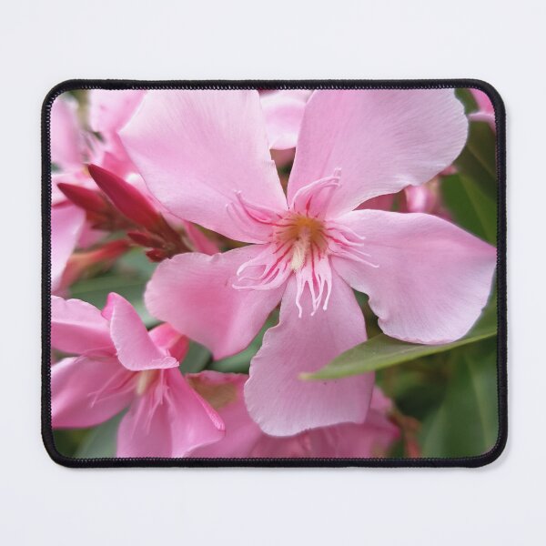 Item preview, Pink Oleander Blossom Bloom designed and sold by PhuongVoArt.