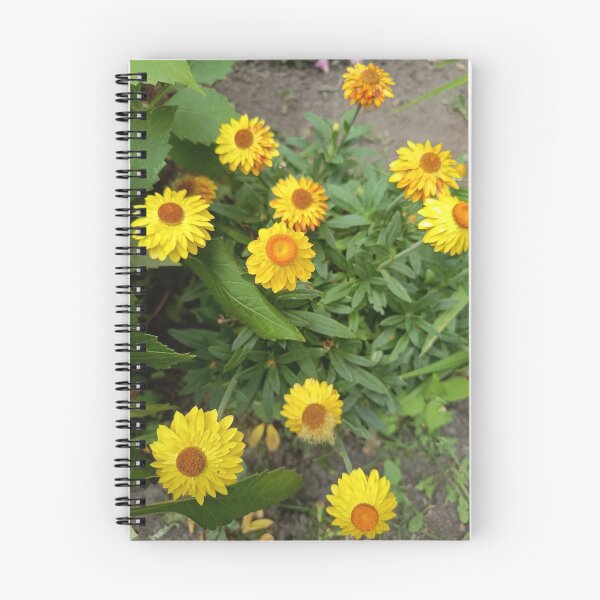 Item preview, Golden Strawflowers in Bloom designed and sold by PhuongVoArt.